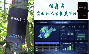 实时树木生长监测仪
