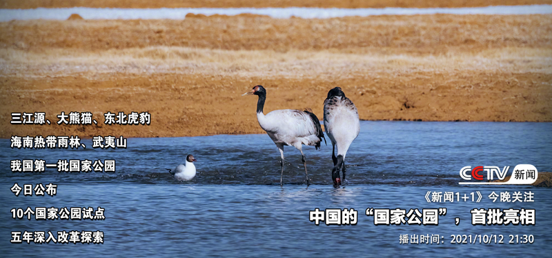 我国正式设立首批国家公园(图1)