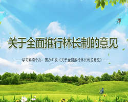 一图读懂中央《关于全面推行林长制的意见》