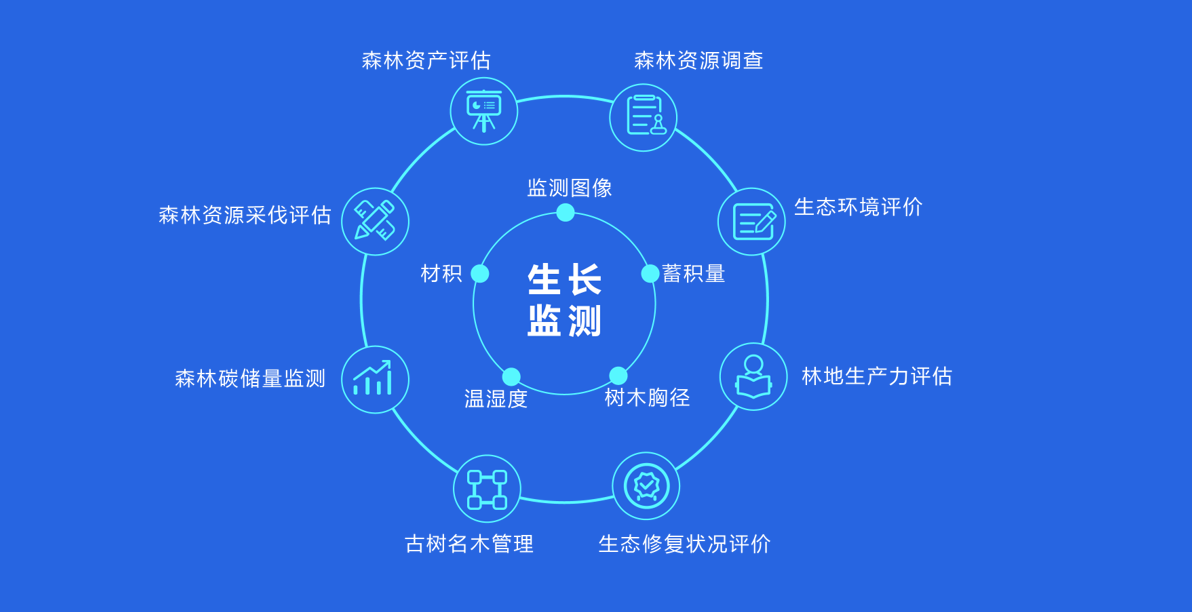 森林资源实时监测系统(图2)
