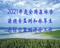 自然资源部办公厅 国家林业和草原局办公室关于统筹推进2021年度全国森林资源调查监测和林草生态综合监测评价工作的通知