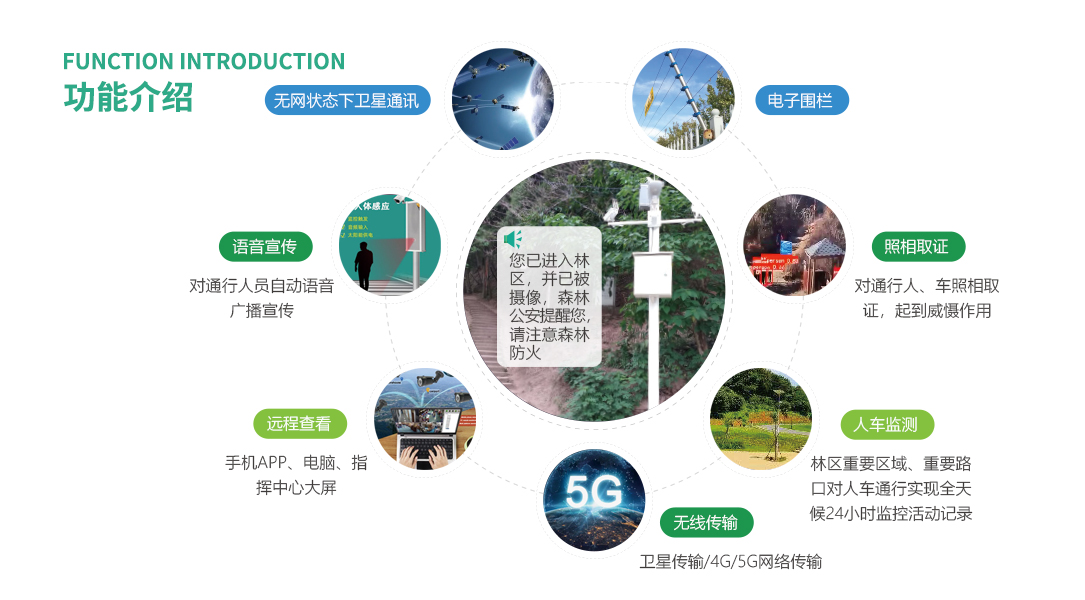 AI看门狗(图1)