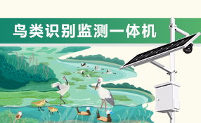 鸟类监测一体机